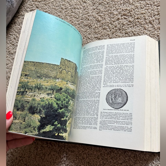 Illustrated Davis Dictionary of the Bible: The Old-Time Gospel Hour Edition - Picture 5 of 5